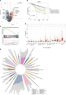 Immune microenvironment characteristics in multiple myeloma progression from transcriptome profiling